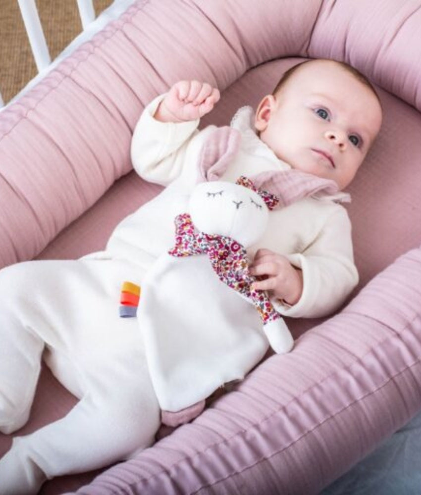 Elegant Smockers LK | Baby Nest - Pale Rose | Sri Lanka