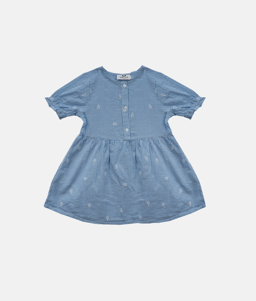 Elegant Smockers LK | Baby Blue Check Embroidery Dress | Sri Lanka 