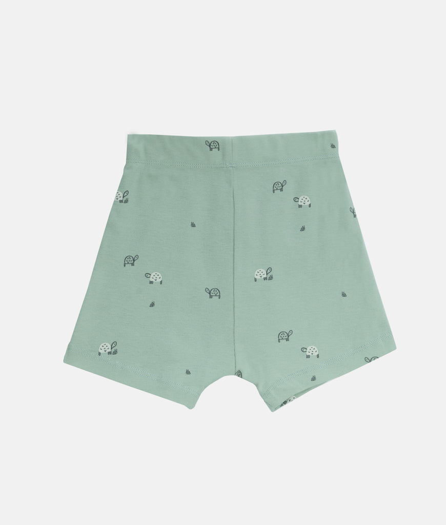 Elegant Smockers LK | Boys Sweat Shorts - Green Turtle Print | Sri Lanka 