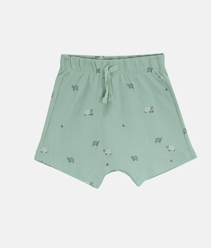 Elegant Smockers LK | Boys Sweat Shorts - Green Turtle Print | Sri Lanka 