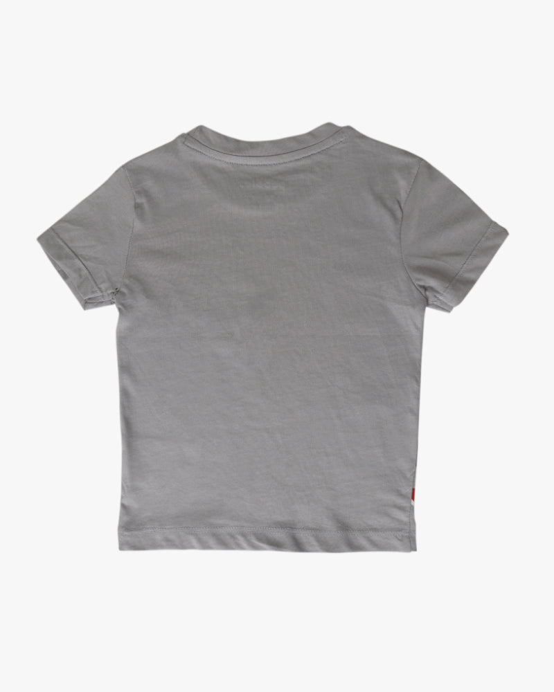 Elegant Smockers LK | Grey Dino Boys T-shirt | Sri Lanka 