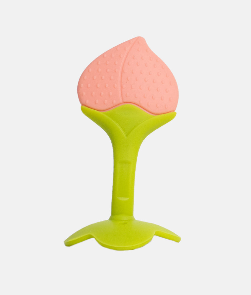 Elegant Smockers LK | Silicone Fruity Baby Teether | Sri Lanka 