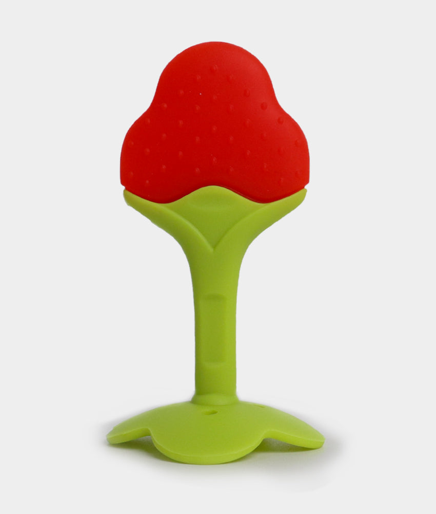 Elegant Smockers LK | Silicone Fruity Baby Teether | Sri Lanka 